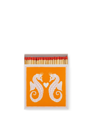 Seahorses Matches from Archivist