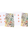 Feathered Friends Playing Card Deck from 1Canoe2
