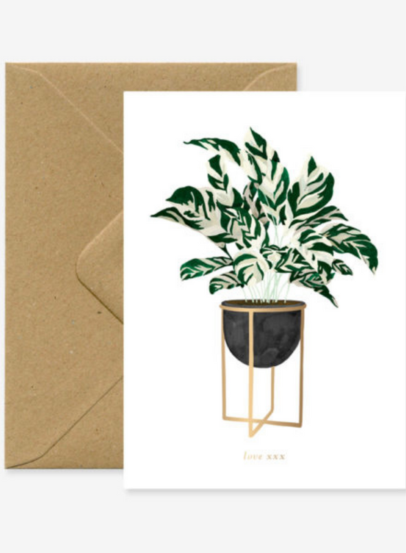 Calathea Plant Card from All The Ways to Say