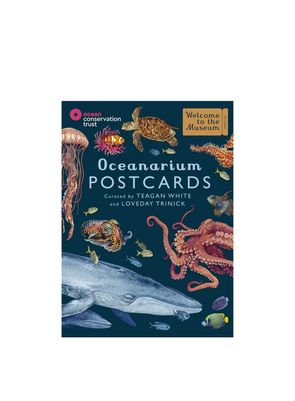 Oceanarium Postcards