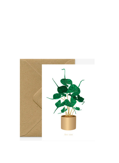 Alocasia Stingray Plant Card from All The Ways to Say