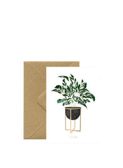 Calathea Plant Card from All The Ways to Say
