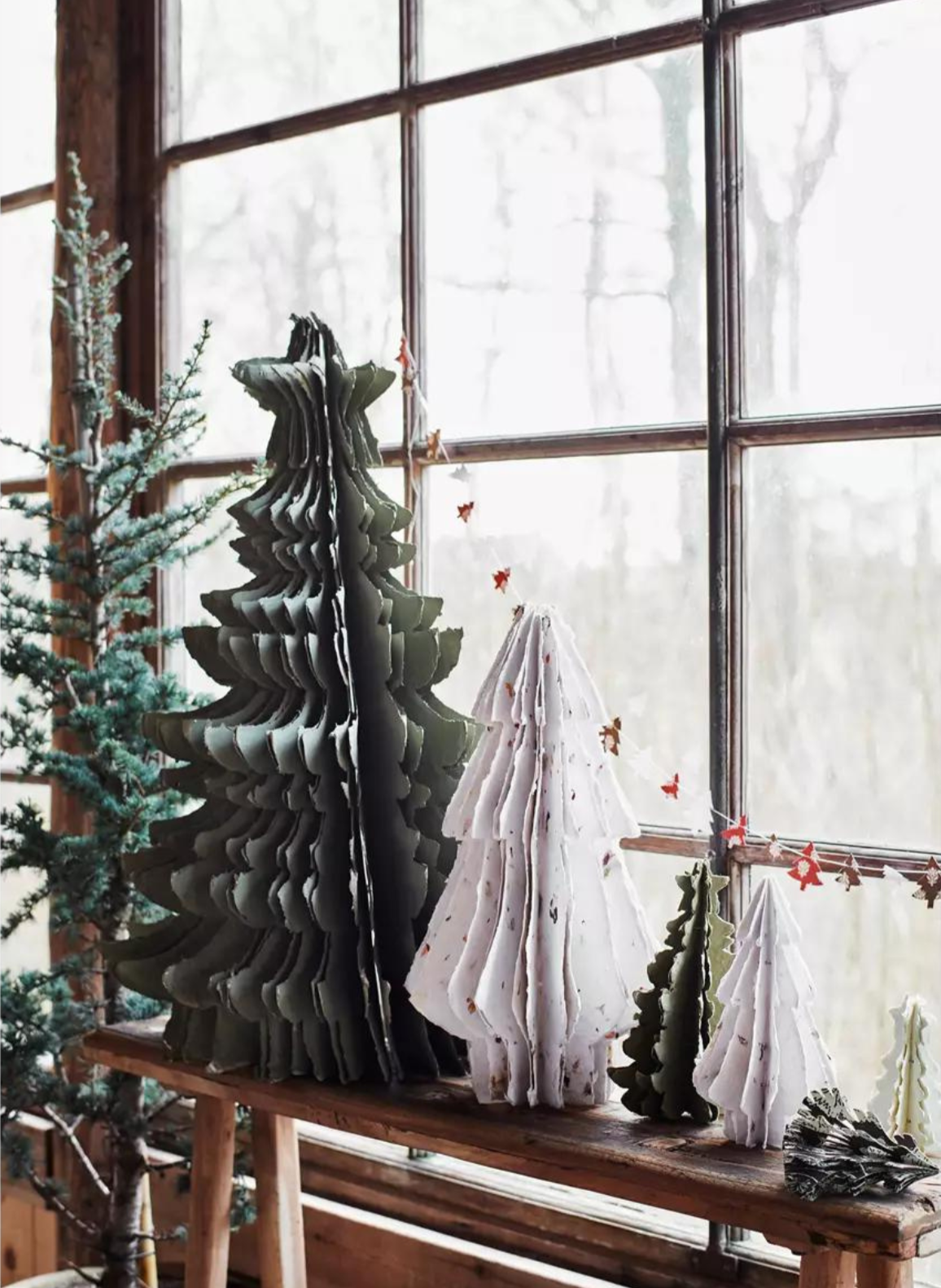 Laid Back Christmas