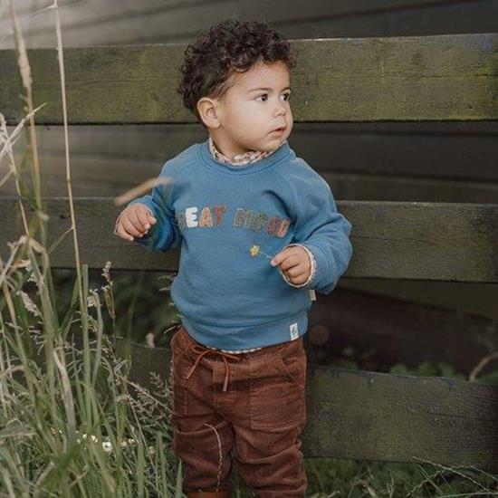 Sweater in Dark Blue from Little Dutch