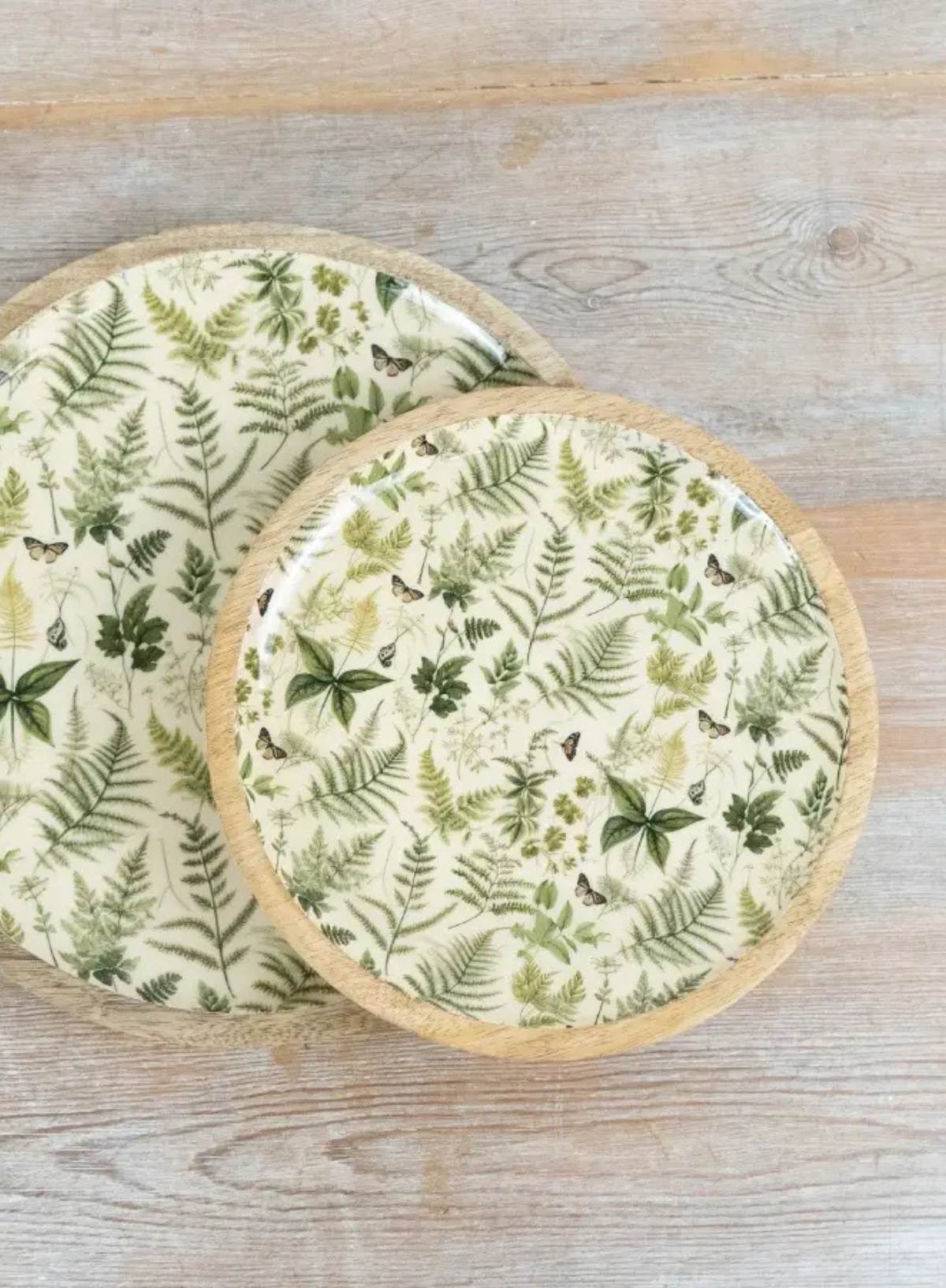 Gainsborough Giftware Green Botanical Plate 20cm