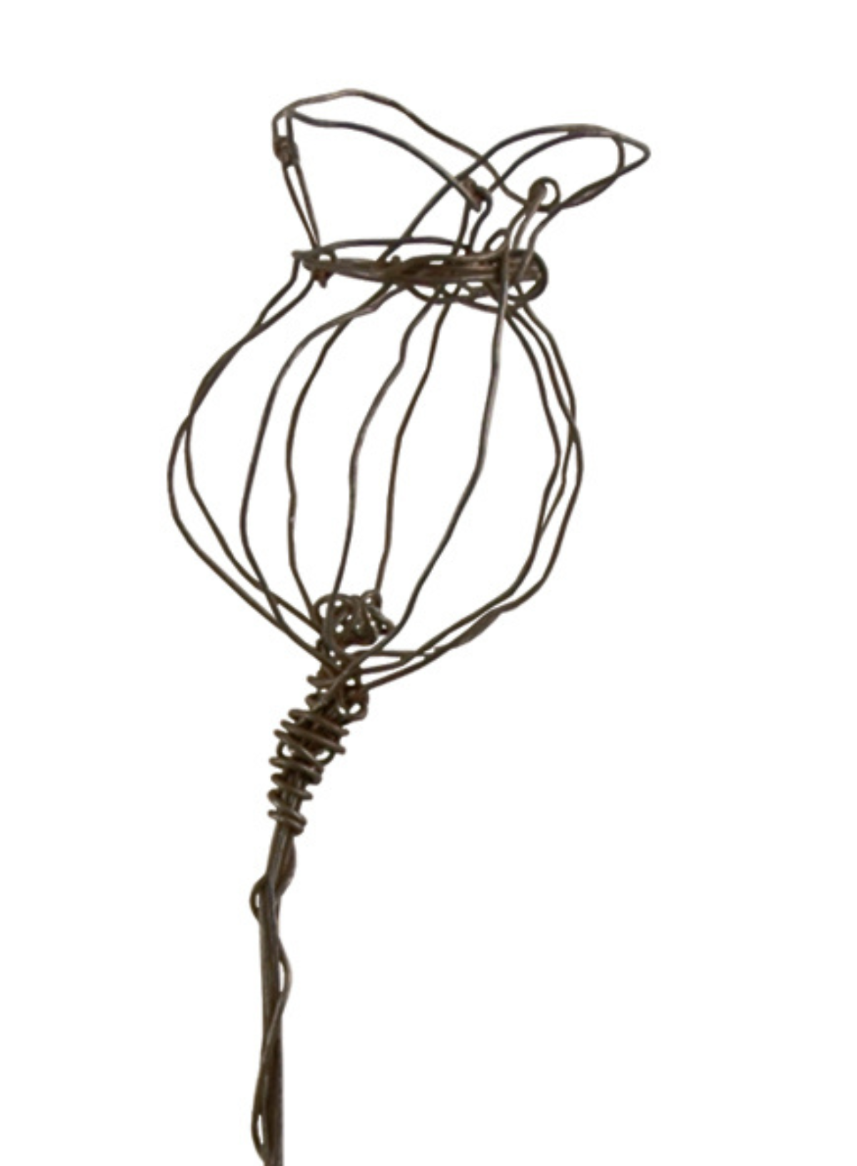 East of India Rusty wire sprig large Poppy head