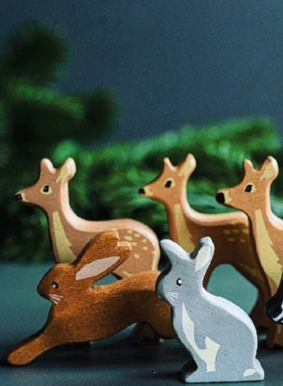 Tender Leaf Woodland Animal - Hare
