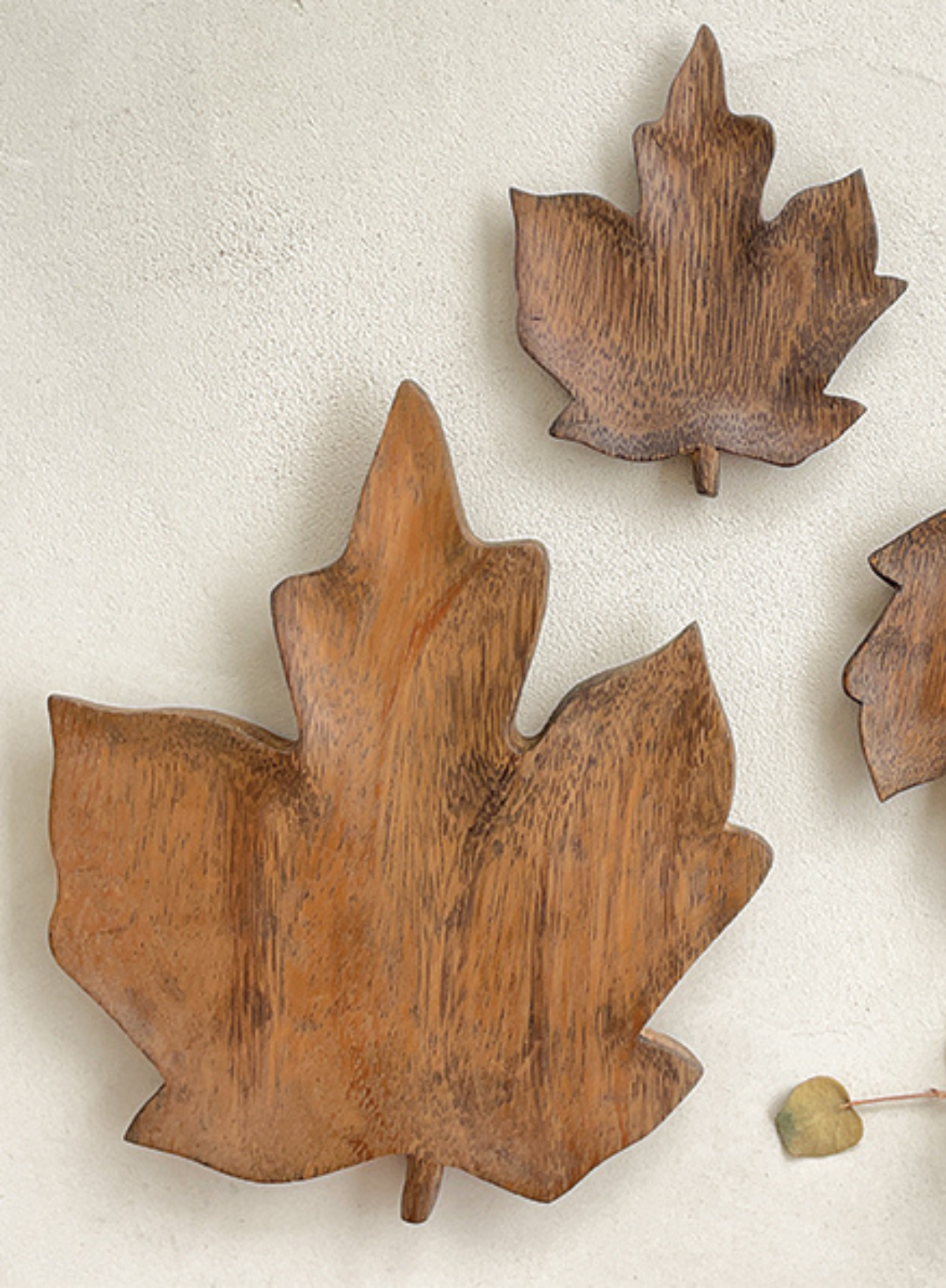East of India Flat leaf bowl Maple