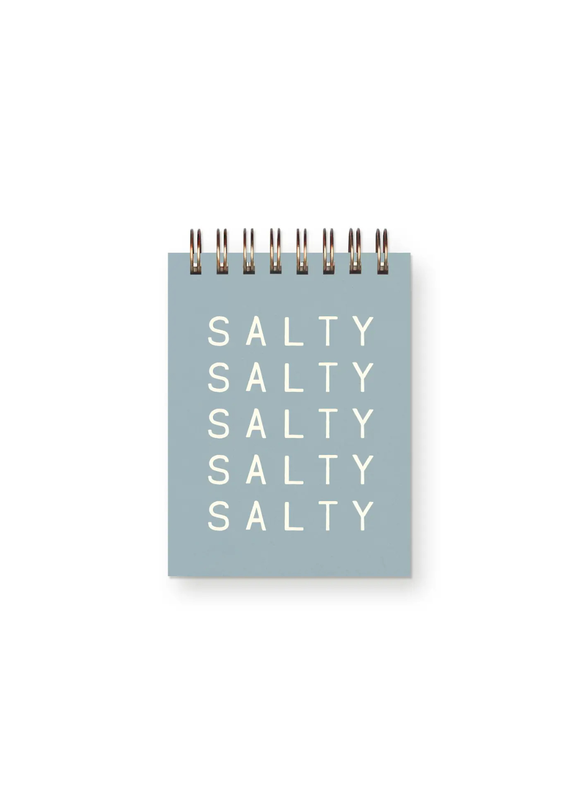 Salty Salty Mini Jotter Notebook from Ruff House Print Shop