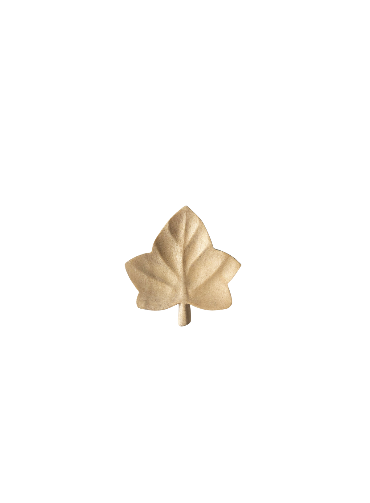 East of India Small leaf flat dish Ivy