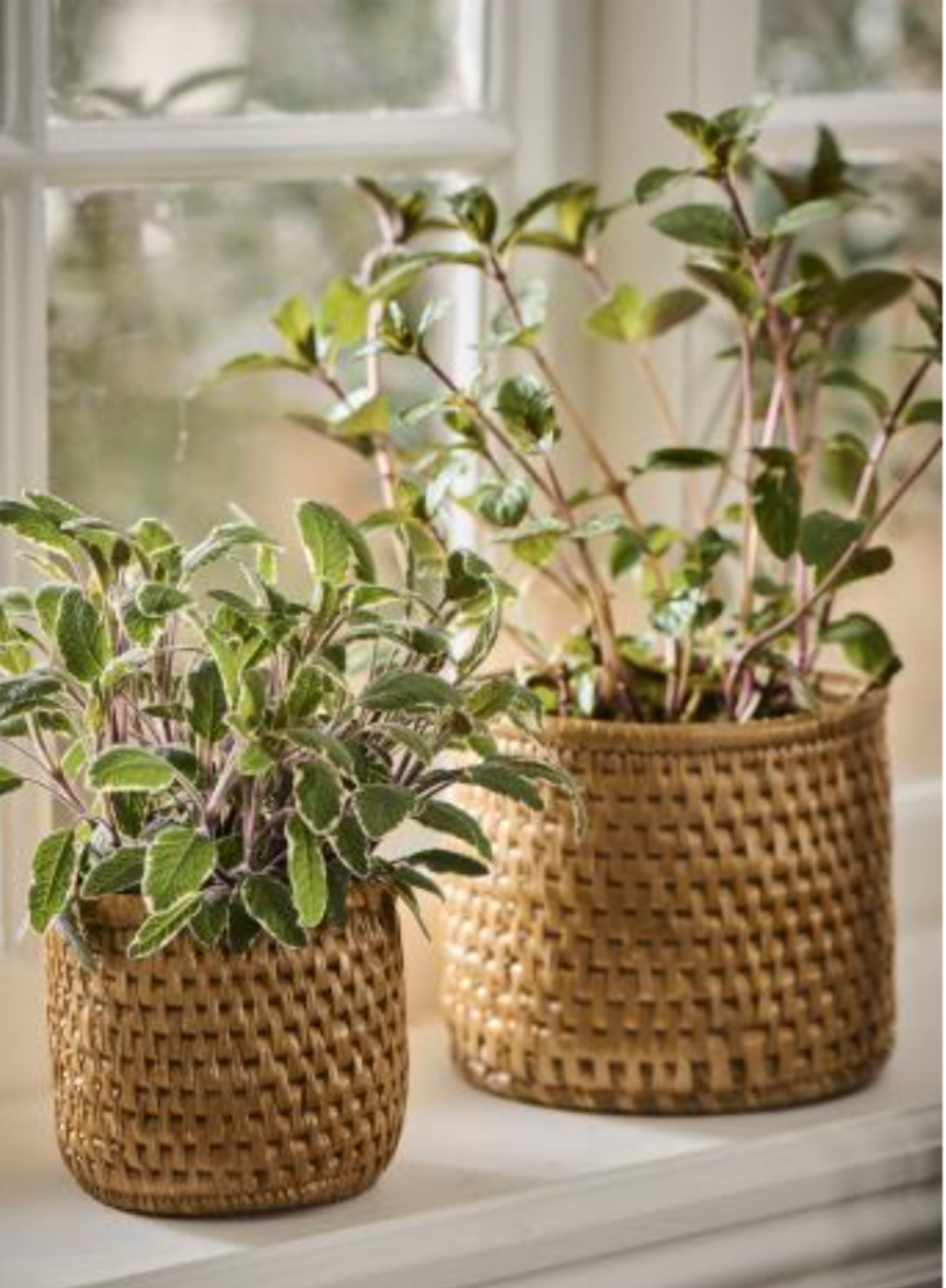 Round Pot 10.5/11.5 from IB Laursen