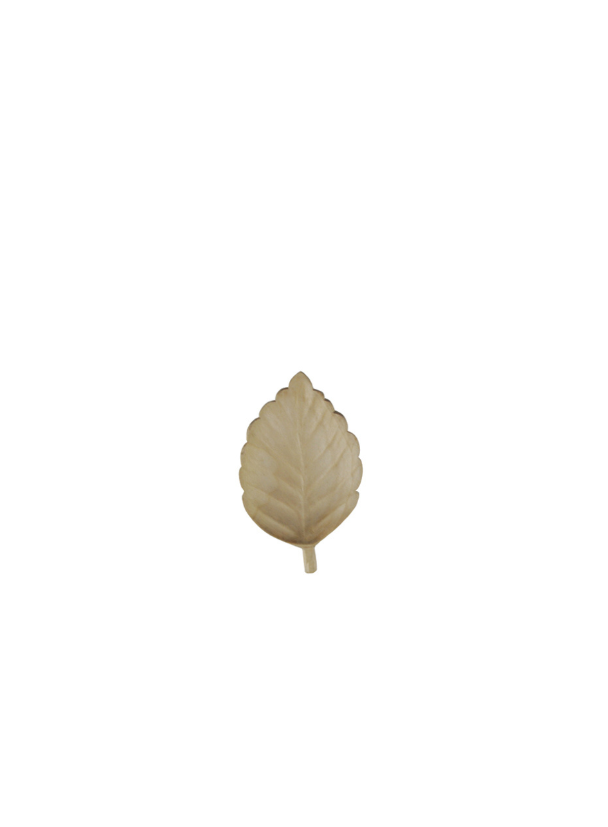 East of India Small leaf flat dish Beech