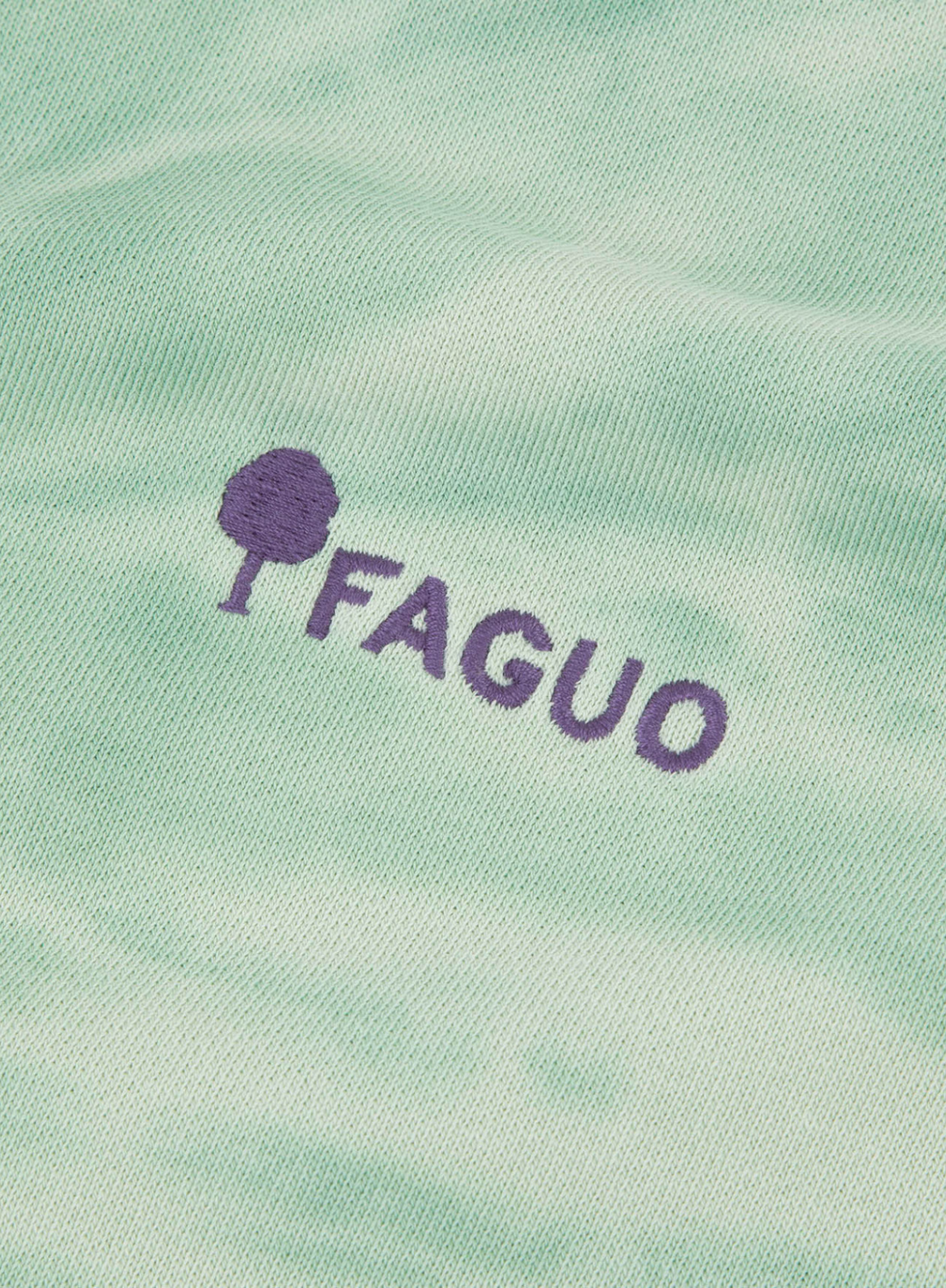 Faguo Fango Round Neck Sweatshirt in Mint Green