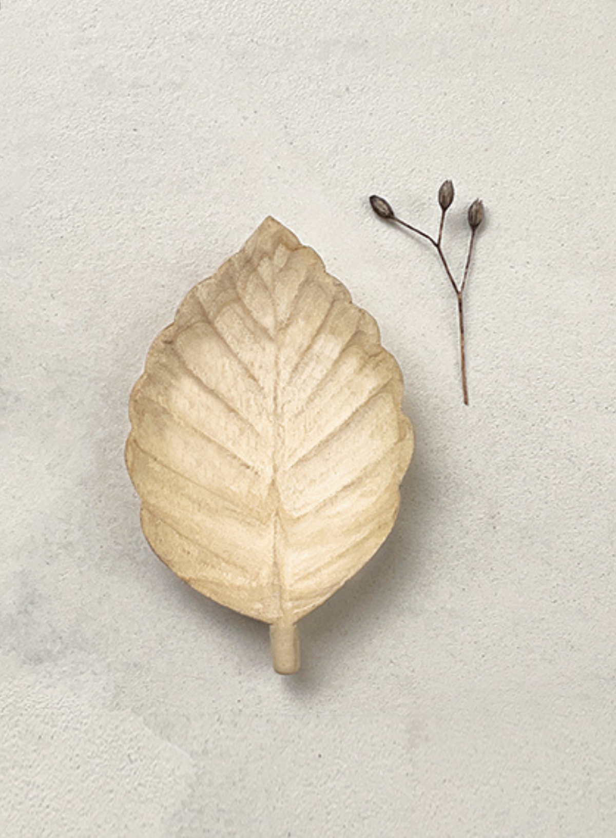 East of India Small leaf flat dish Beech