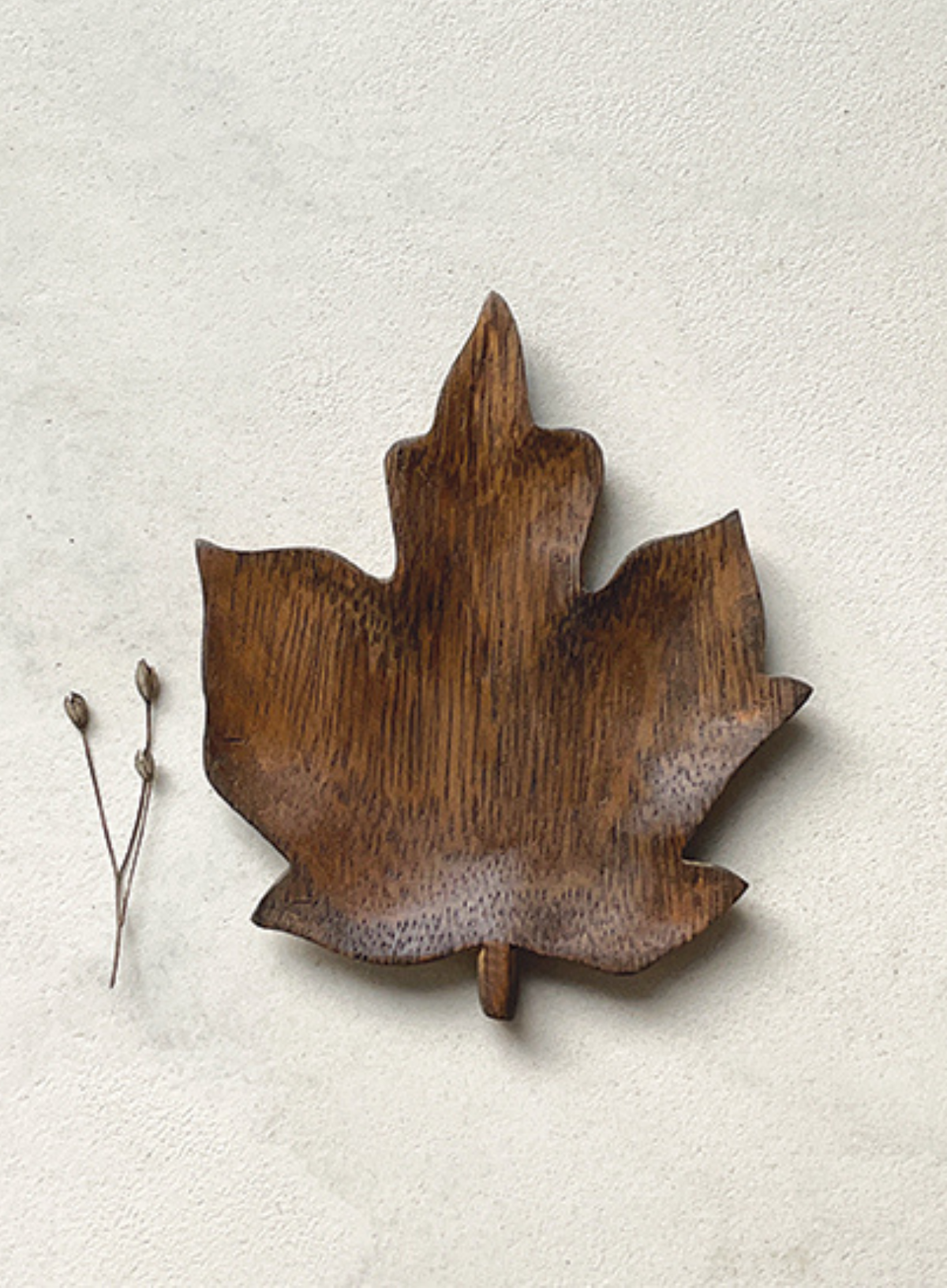 East of India Small leaf flat dish Maple