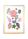 Shell Print: A4 from Eleanor Bowmer