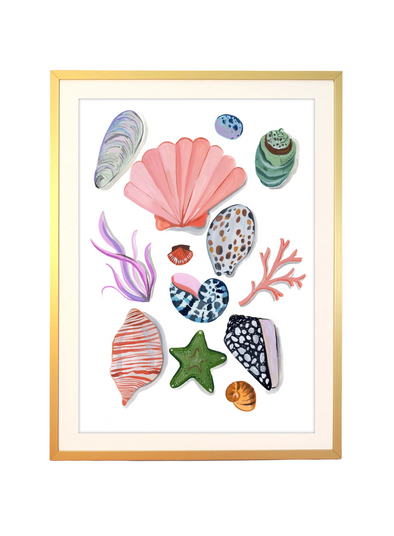 Shell Print: A4 from Eleanor Bowmer