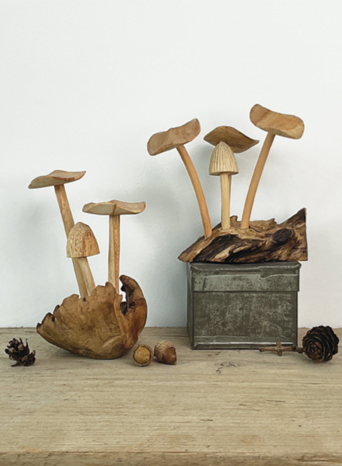 East of India Mushrooms Driftwood base