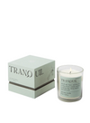 Mood Candle in Tranquil Lush Palms from Paddywax