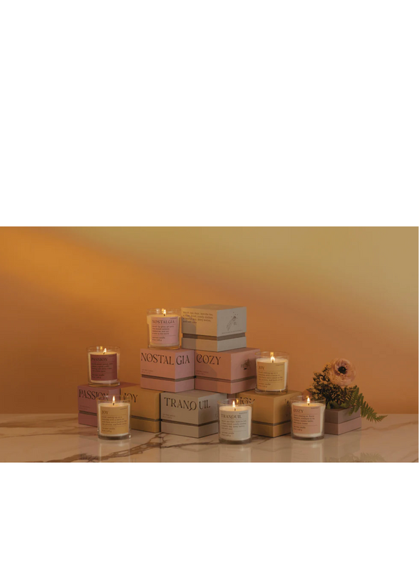 Mood Candle in Tranquil Lush Palms from Paddywax