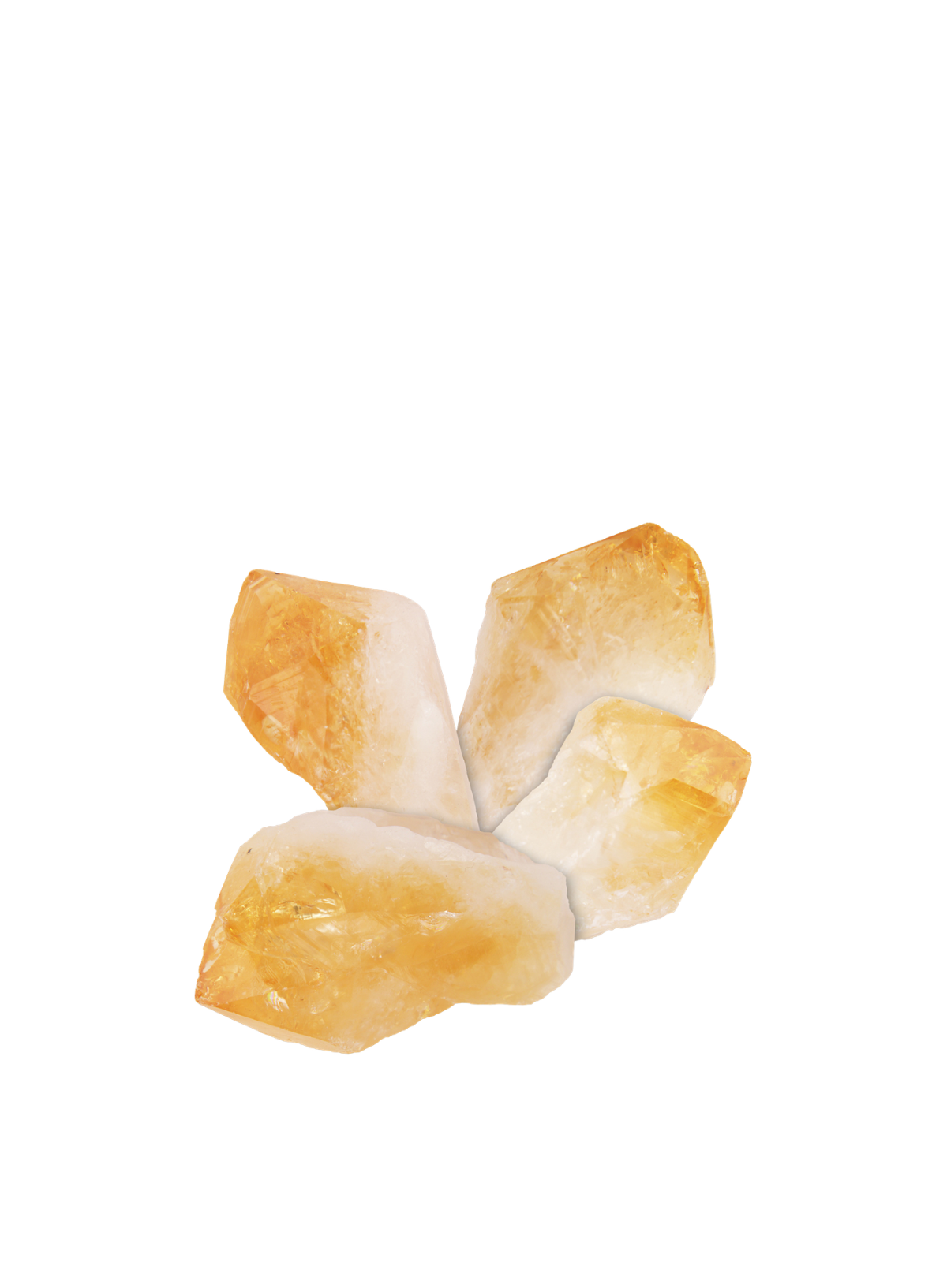 British Fossils Citrine Points