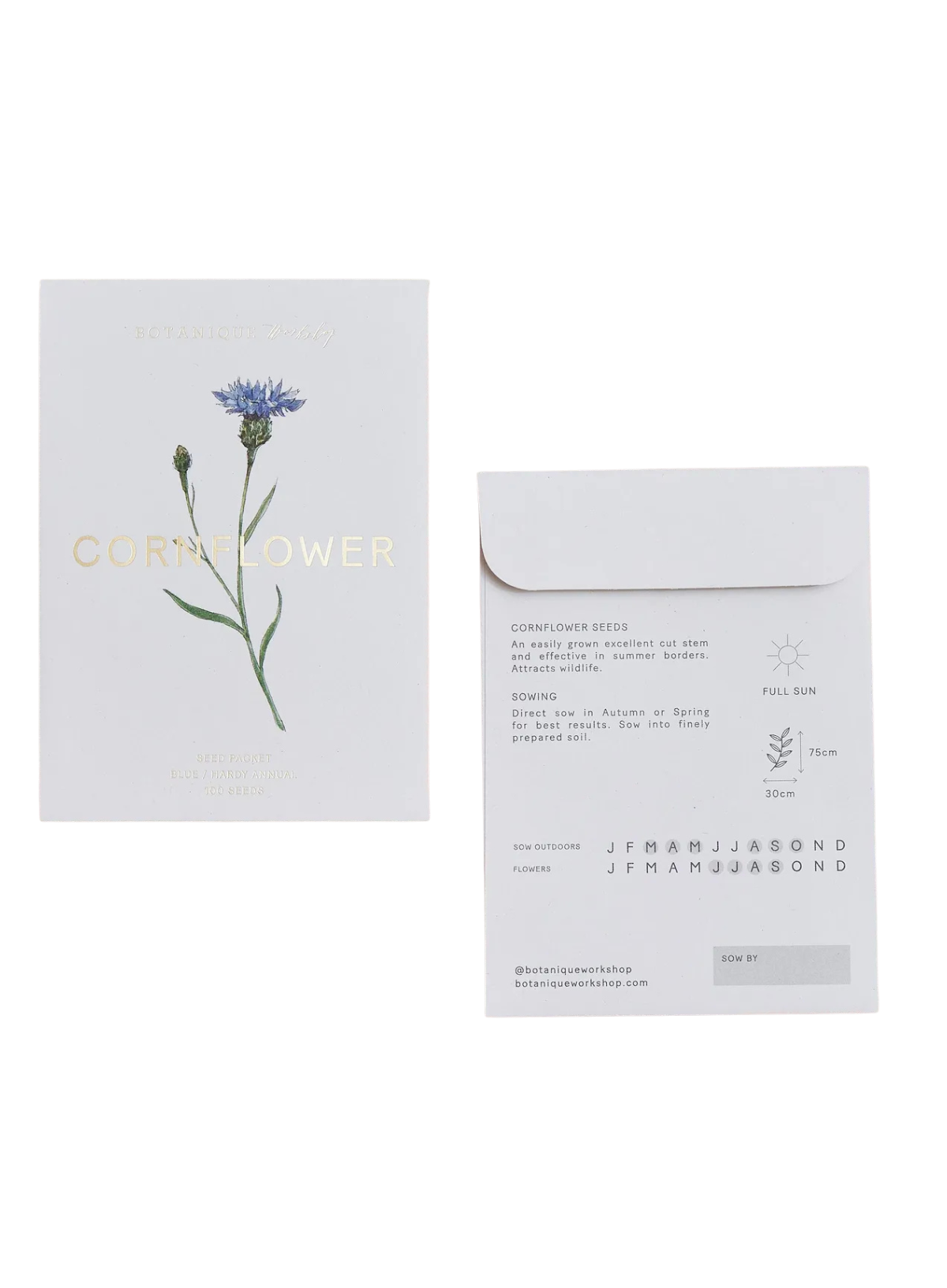 Botanique Workshop Cornflower Blue Seed Packet