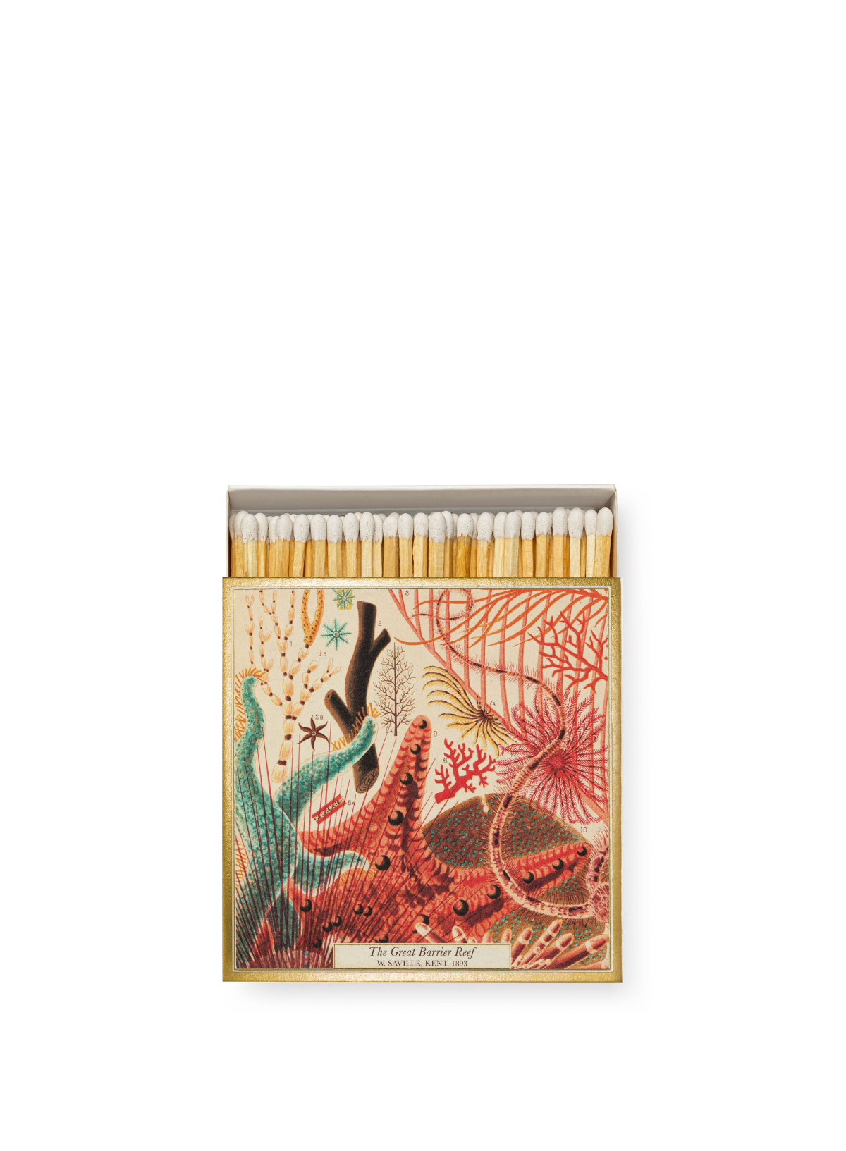 Natural History Museum Great Barrier Reef from Archivist