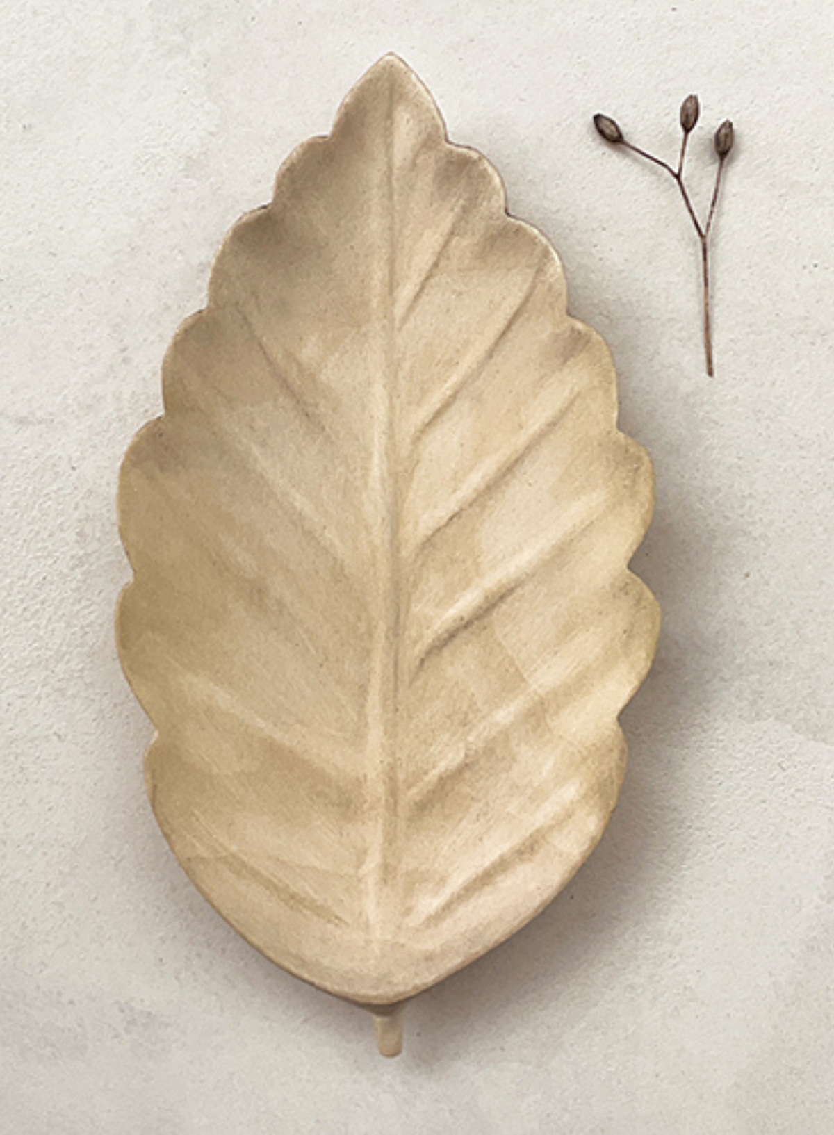 East of India Flat leaf bowl Beech