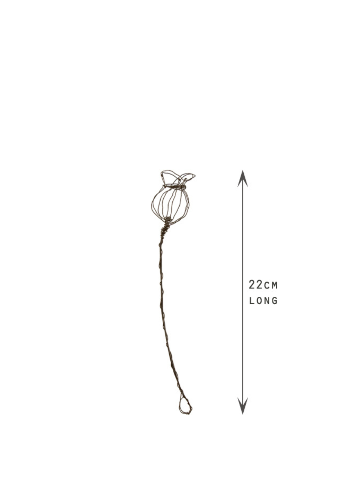 East of India Rusty wire sprig small Poppy head