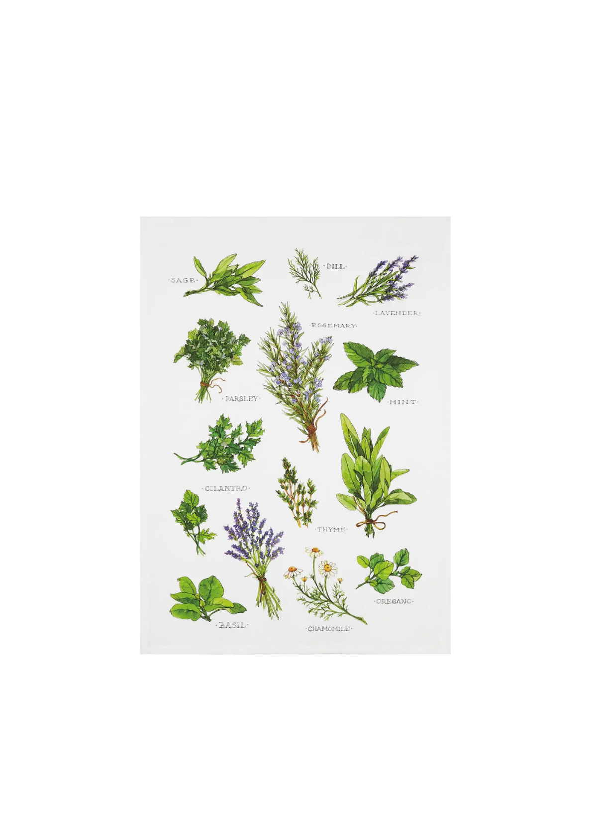 Peking Handicraft Field Guide Herbs Printed Kitchen Towel