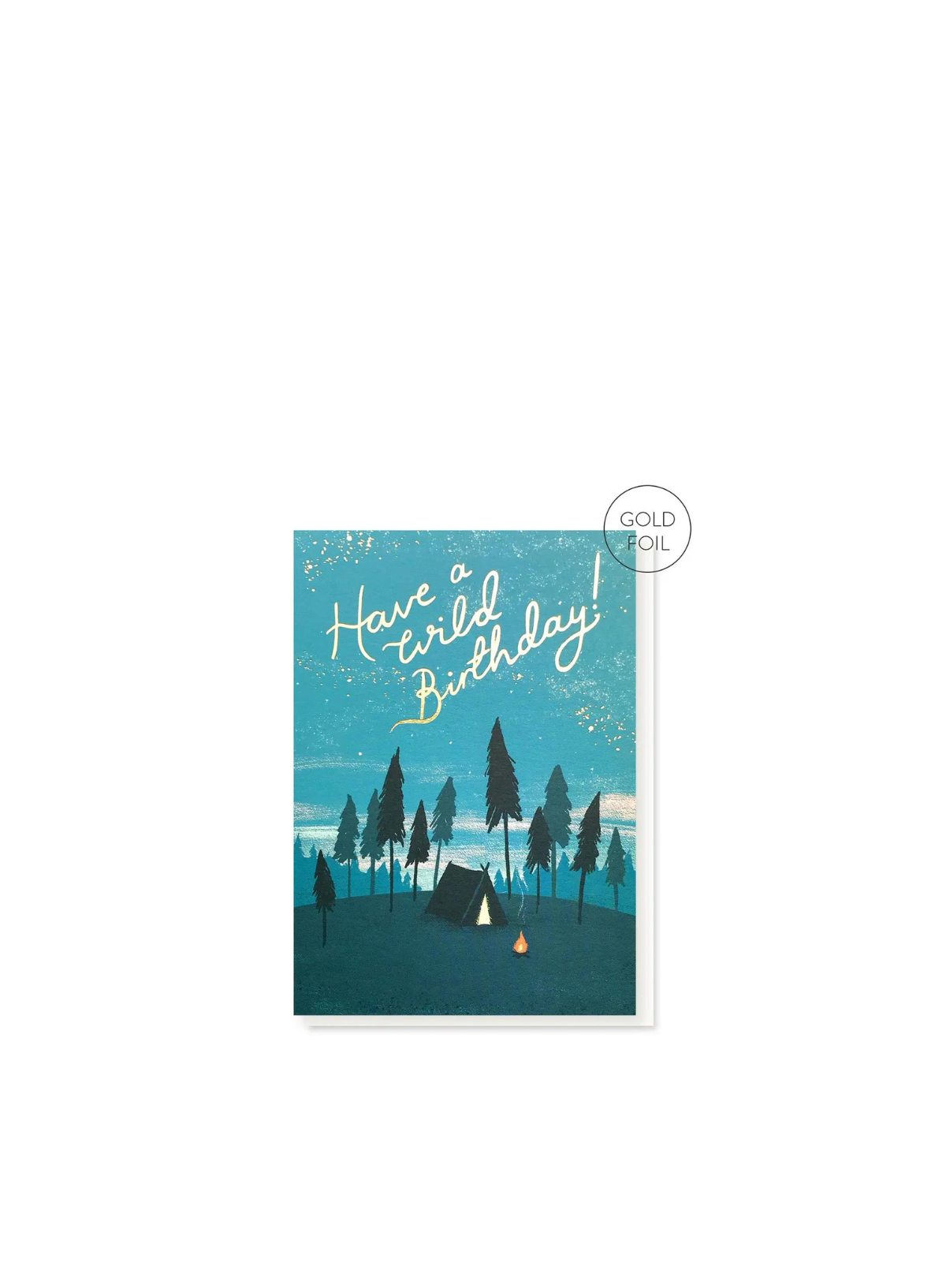 Wild Birthday Card Camping from Stormy Knight