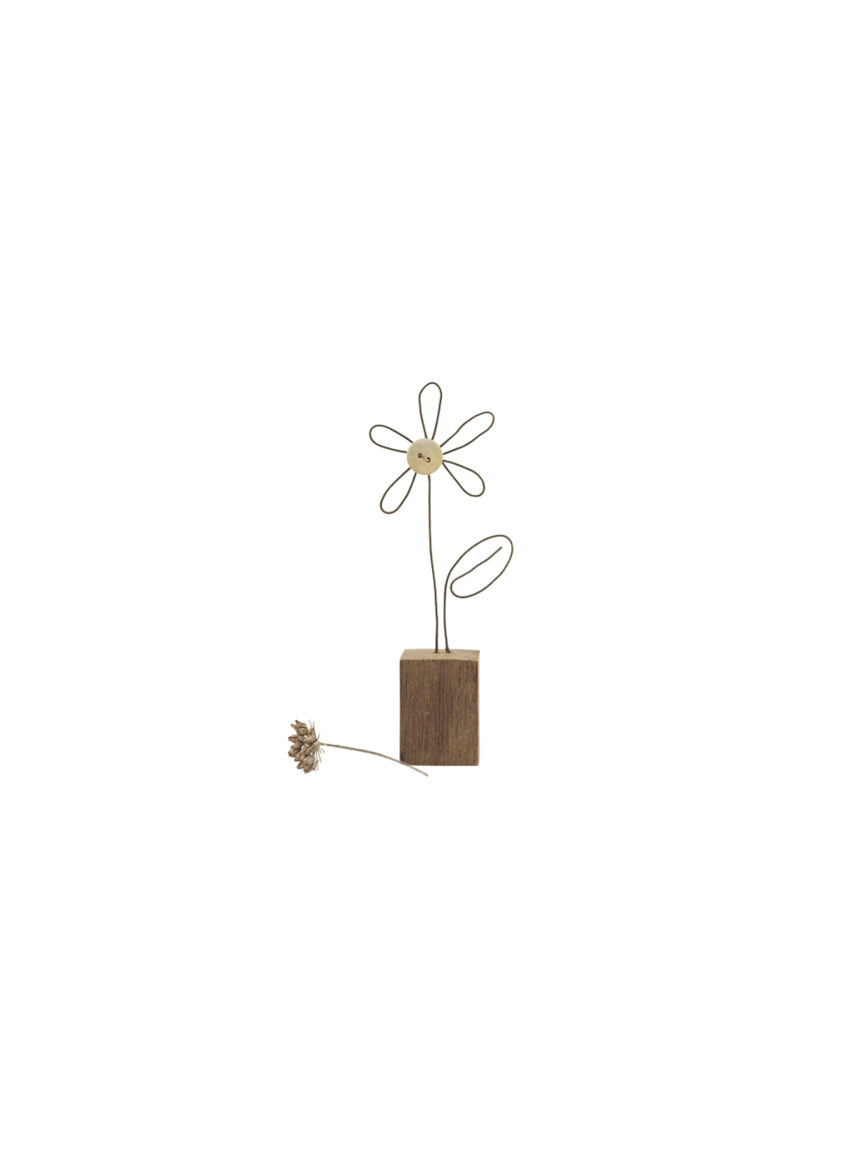 East of India Wire flower in wooden block
