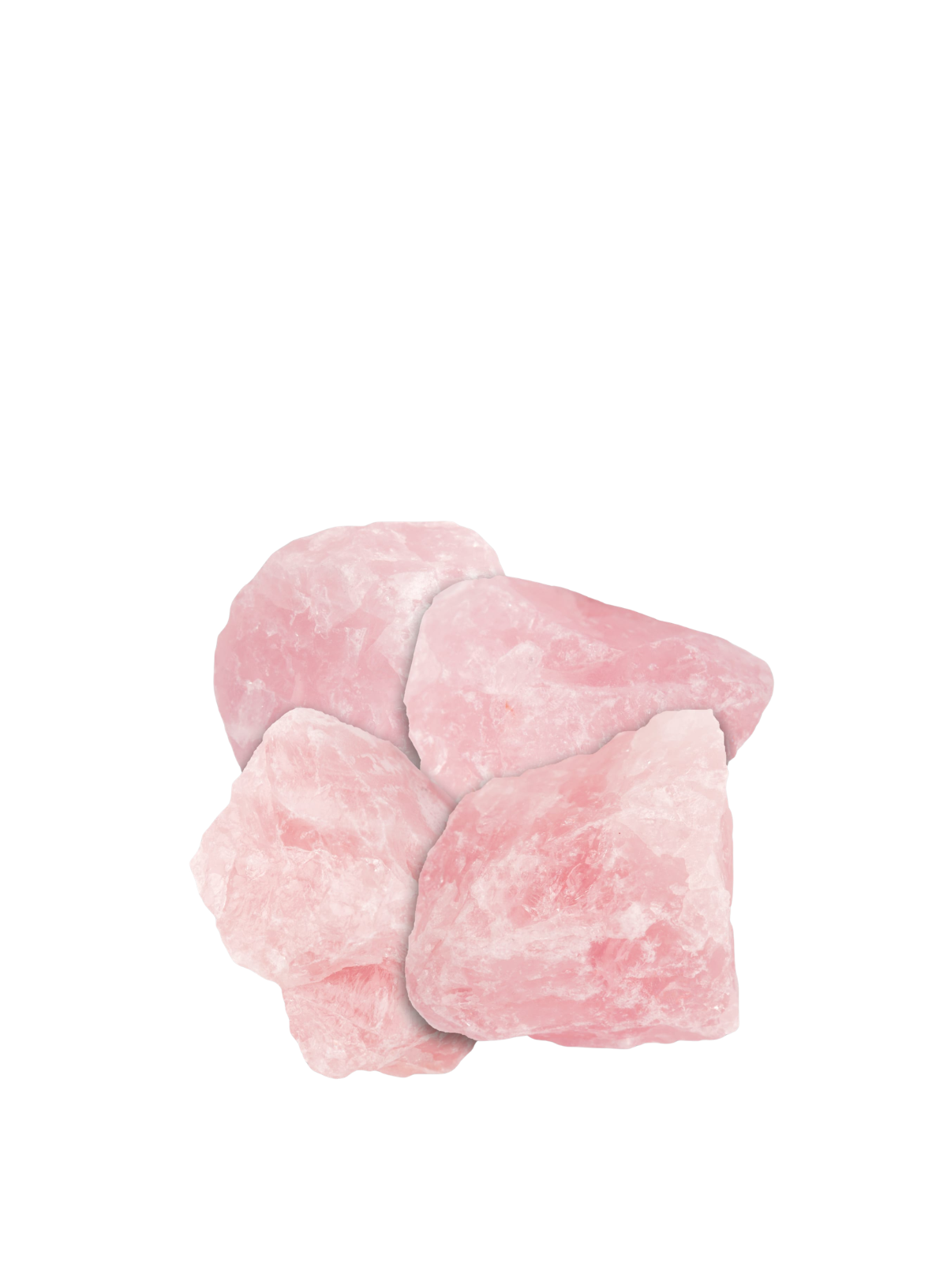 British Fossils Rose Quartz