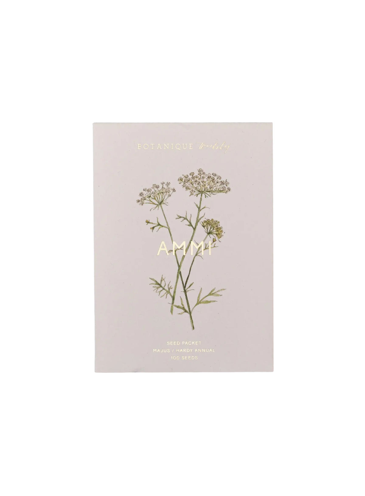 Botanique Workshop Ammi Majus Seed Packet