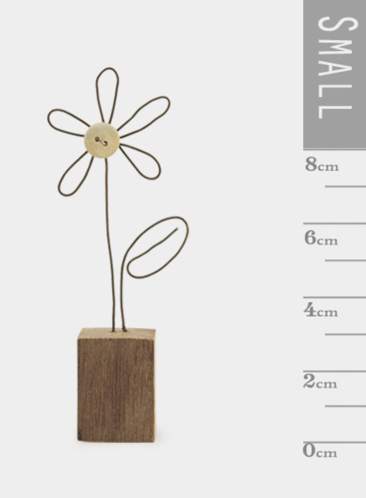 East of India Wire flower in wooden block