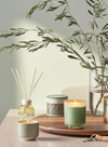 Hinoki Sage Scent Diffuser Green from Illume