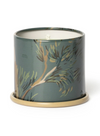 Hinoki Sage Demi Vanity Tin Candle 20 Hours from Illume