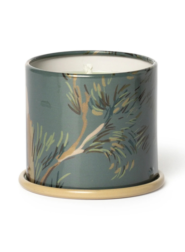 Hinoki Sage Demi Vanity Tin Candle 20 Hours from Illume