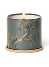 Hinoki Sage Demi Vanity Tin Candle 20 Hours from Illume