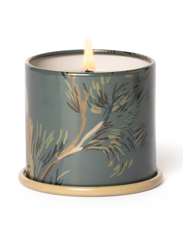 Hinoki Sage Demi Vanity Tin Candle 20 Hours from Illume