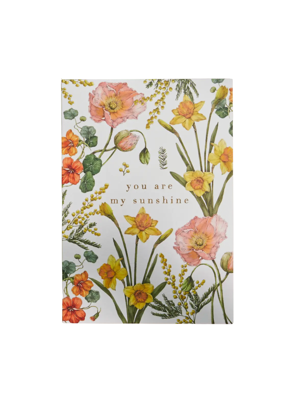Catherine Lewis Bountiful Blooms You Are My Sunshine Card