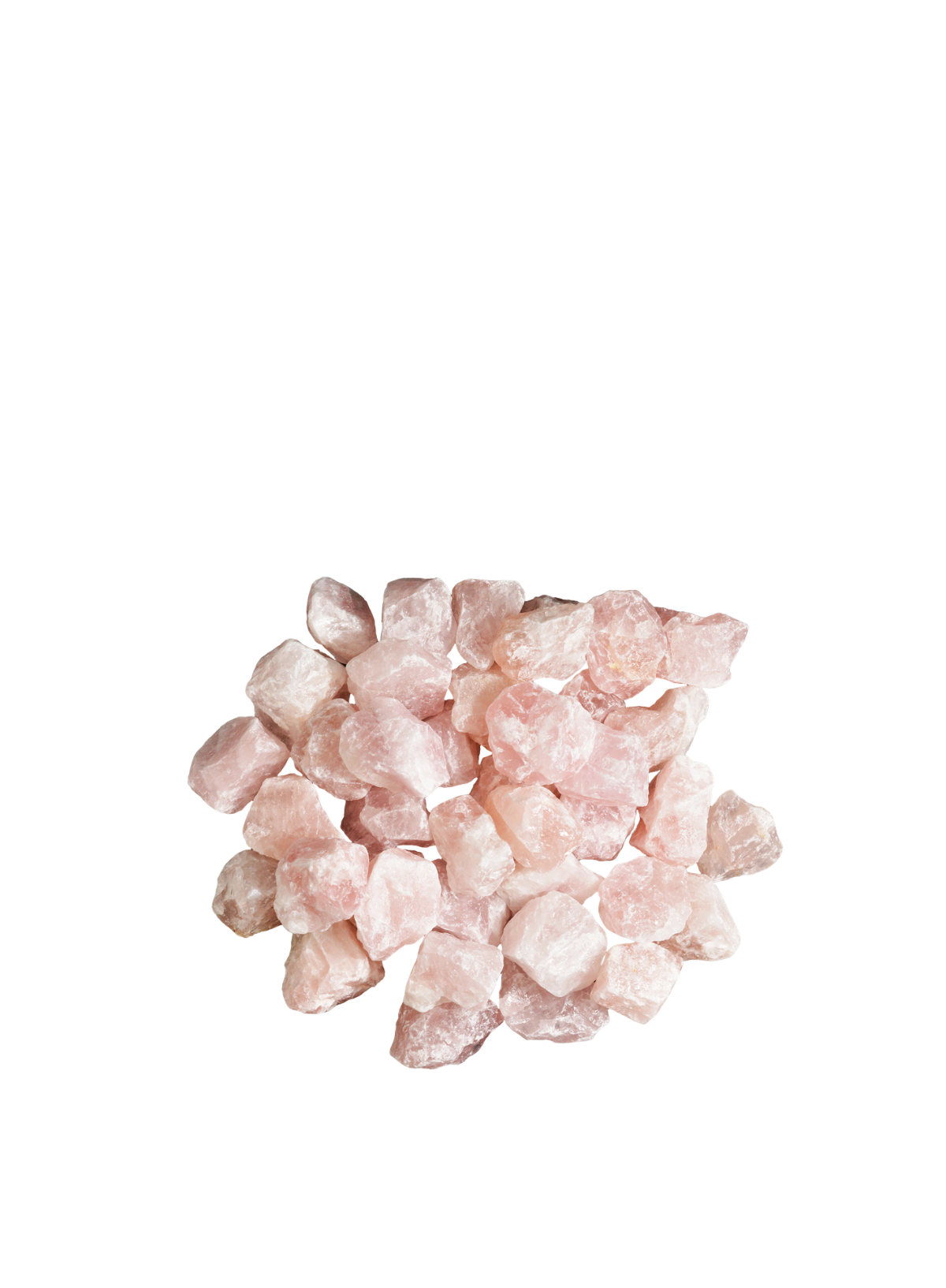 British Fossils Rose Quartz