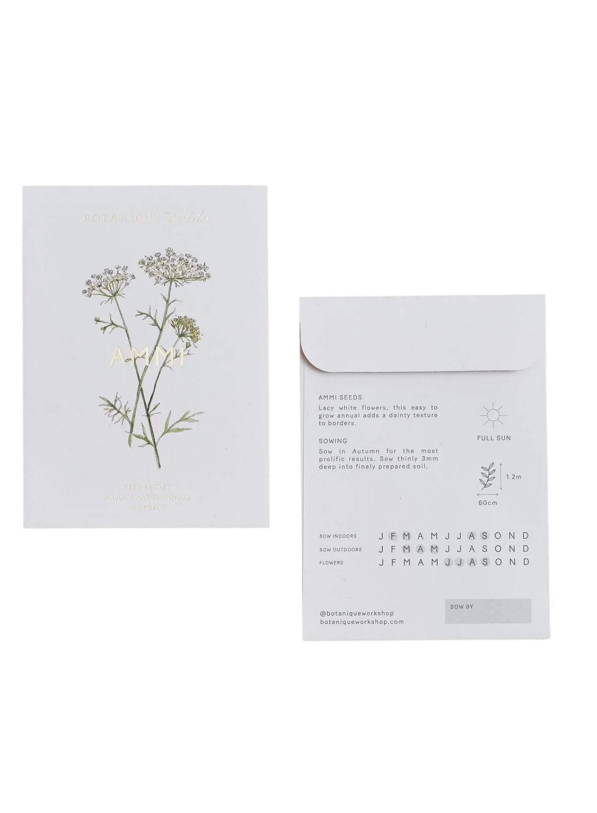 Botanique Workshop Ammi Majus Seed Packet