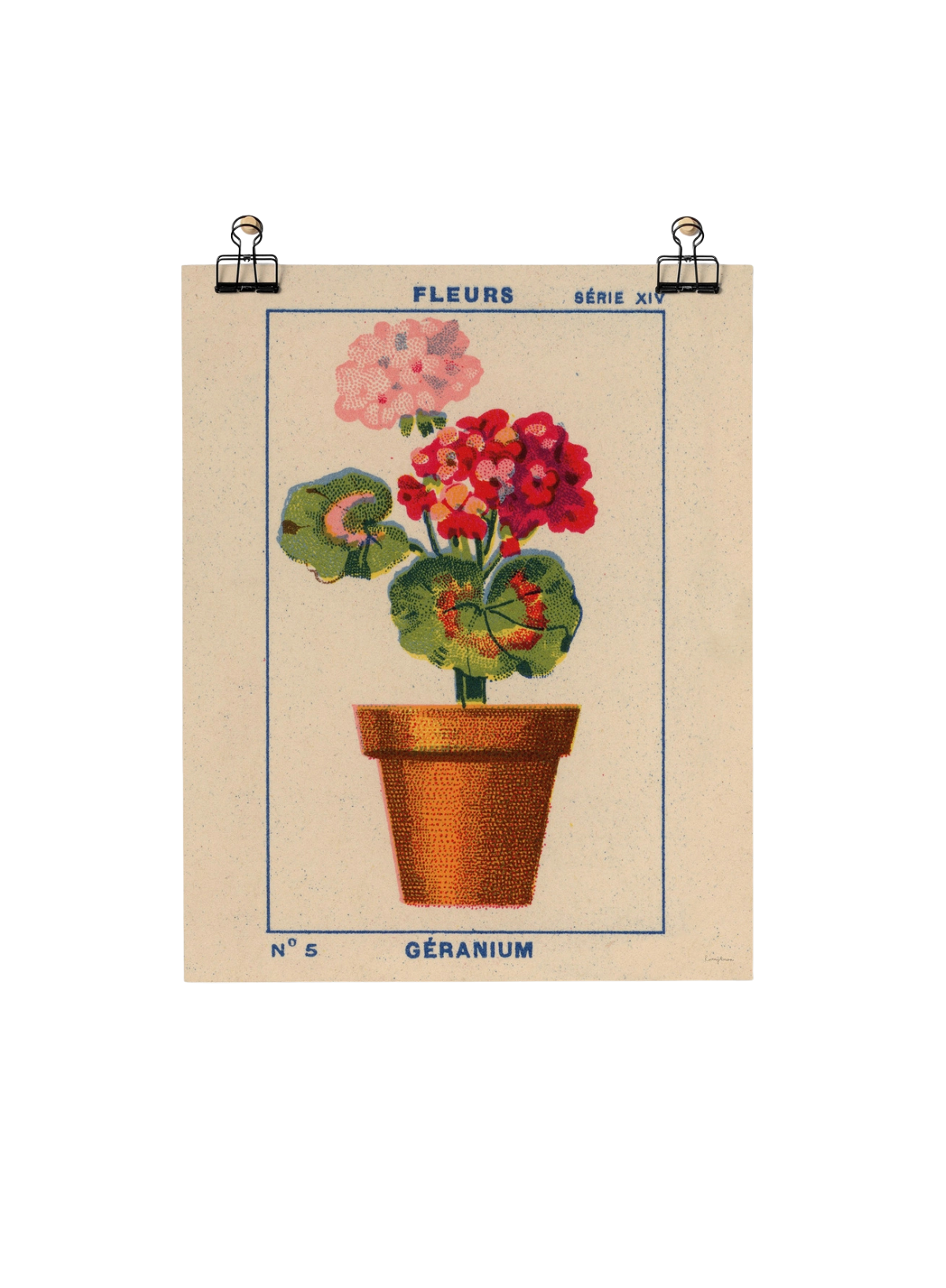 Roomytown Geranium Fine Art Print Unframed A3