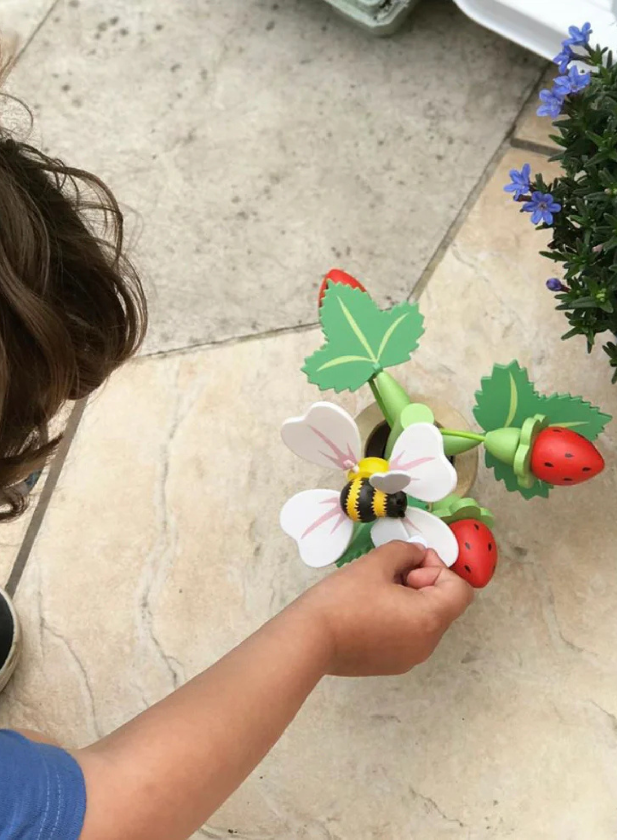 Tender Leaf Strawberry Flower pot