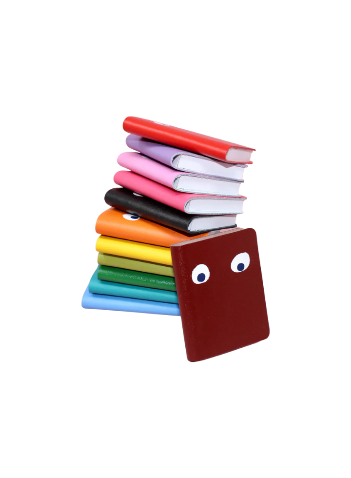 Ark Googly Eye Mini Leather Notebook