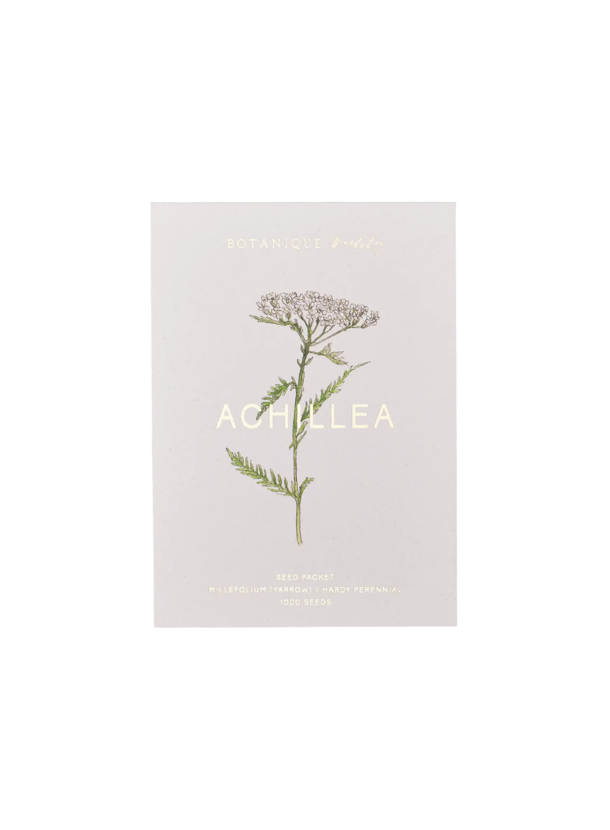 Botanique Workshop Achillea Millefolium (Yarrow) Seed Packet