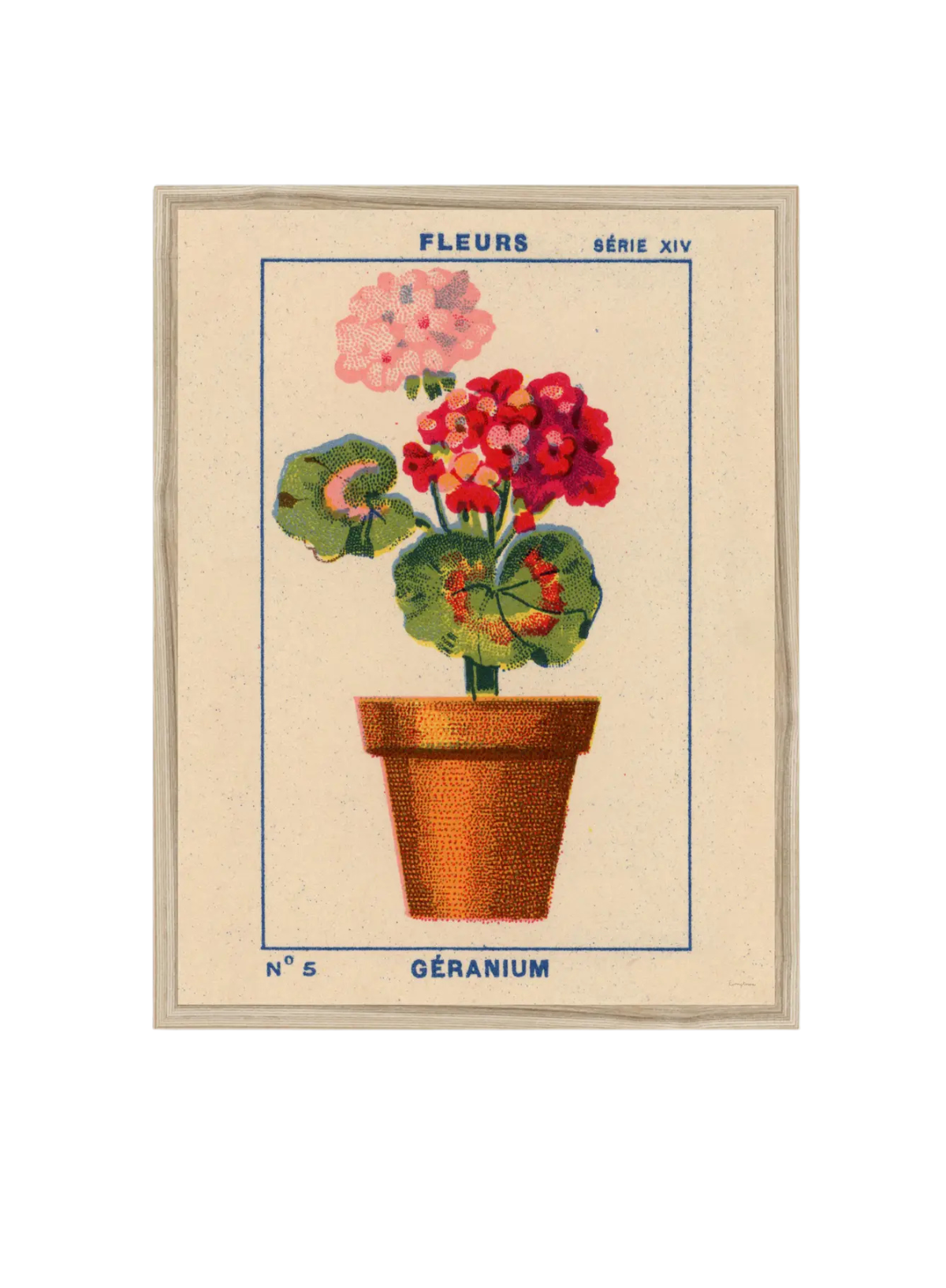 Roomytown Geranium Fine Art Print Oak Frame A3