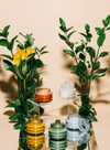 Beam 3oz Yellow Small Glass Vessel And Lid - Meyer Lemon from Paddywax