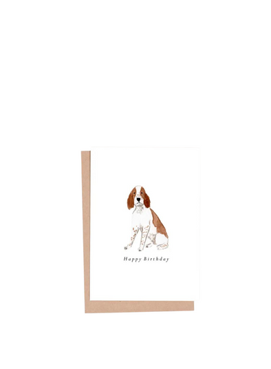 Springer Spaniel Birthday Card from HeatherLucyJ Design